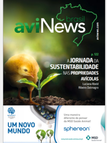 aviNews Brasil 3T 2022