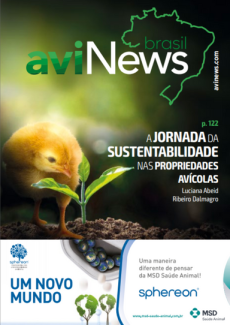 aviNews Brasil 3T 2022 