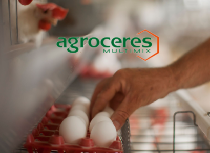 exportações brasileiras de ovos devem quebrar barreira de 1% do total produzido em 2022