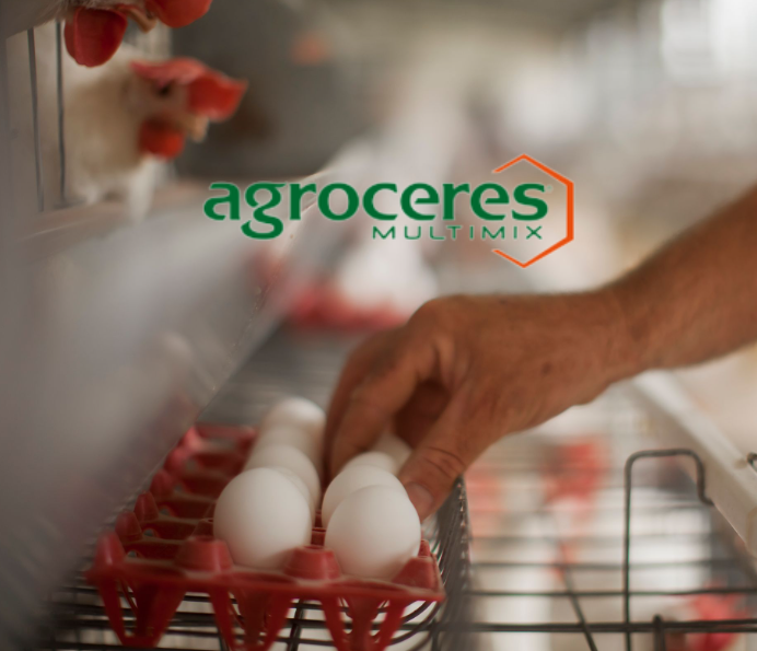 Pela primeira vez, exportações brasileiras de ovos devem quebrar barreira de 1% do total produzido em 2022