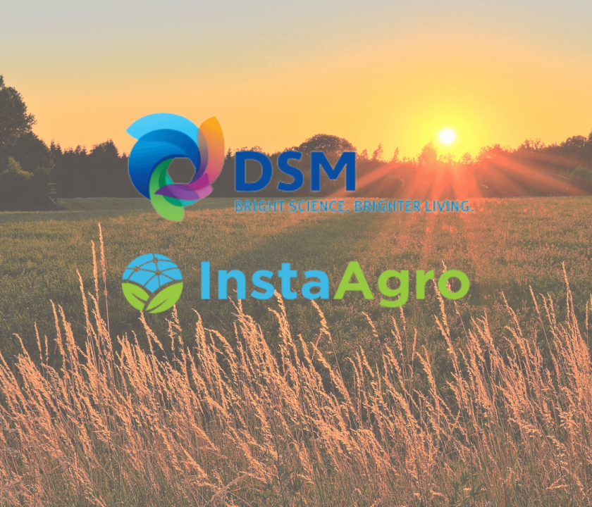 DSM fecha parceria com e-Commerce InstaAgro e reforça sua presença em plataformas digitais
