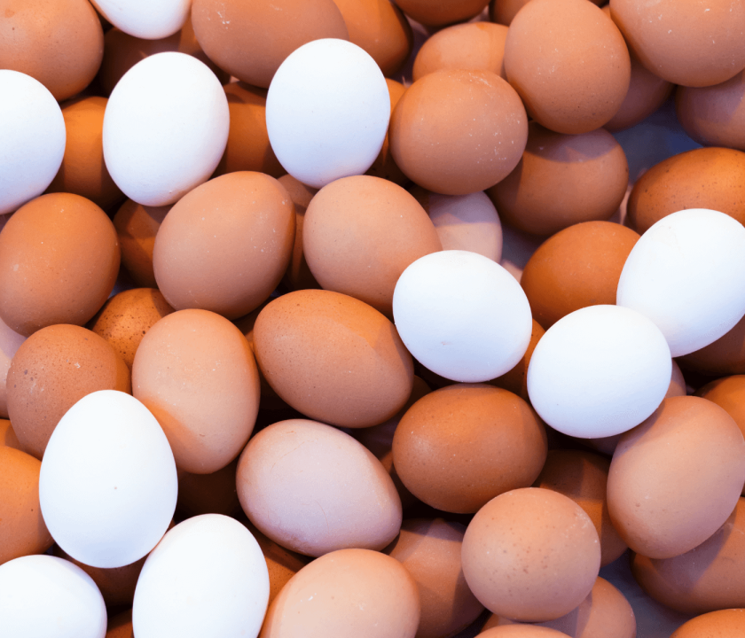 Em linha com os preços das carnes, ovos se desvalorizam