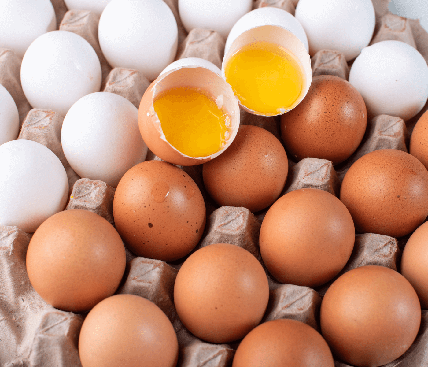 Preços dos ovos comerciais renovam máxima nominal