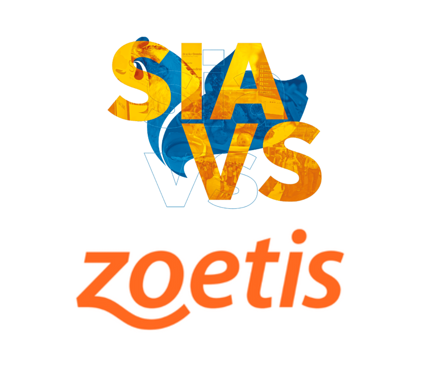 Zoetis aborda inovação no SIAVS