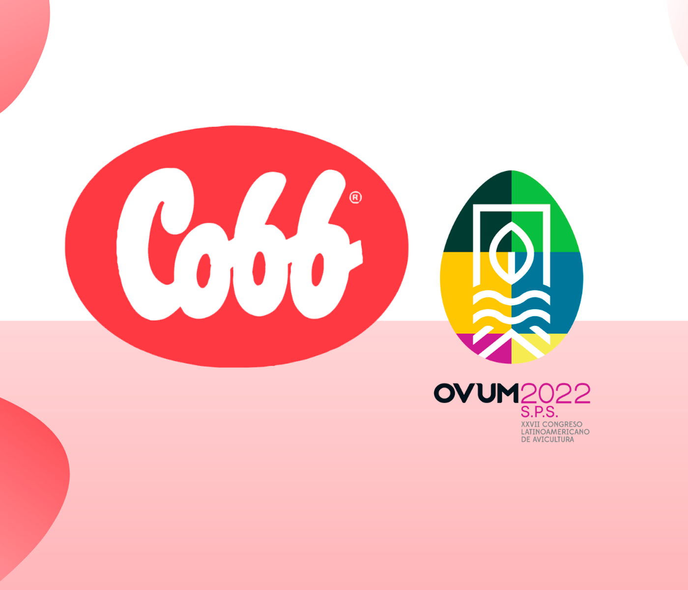 Cobb – Vantress participará en el OVUM 2022