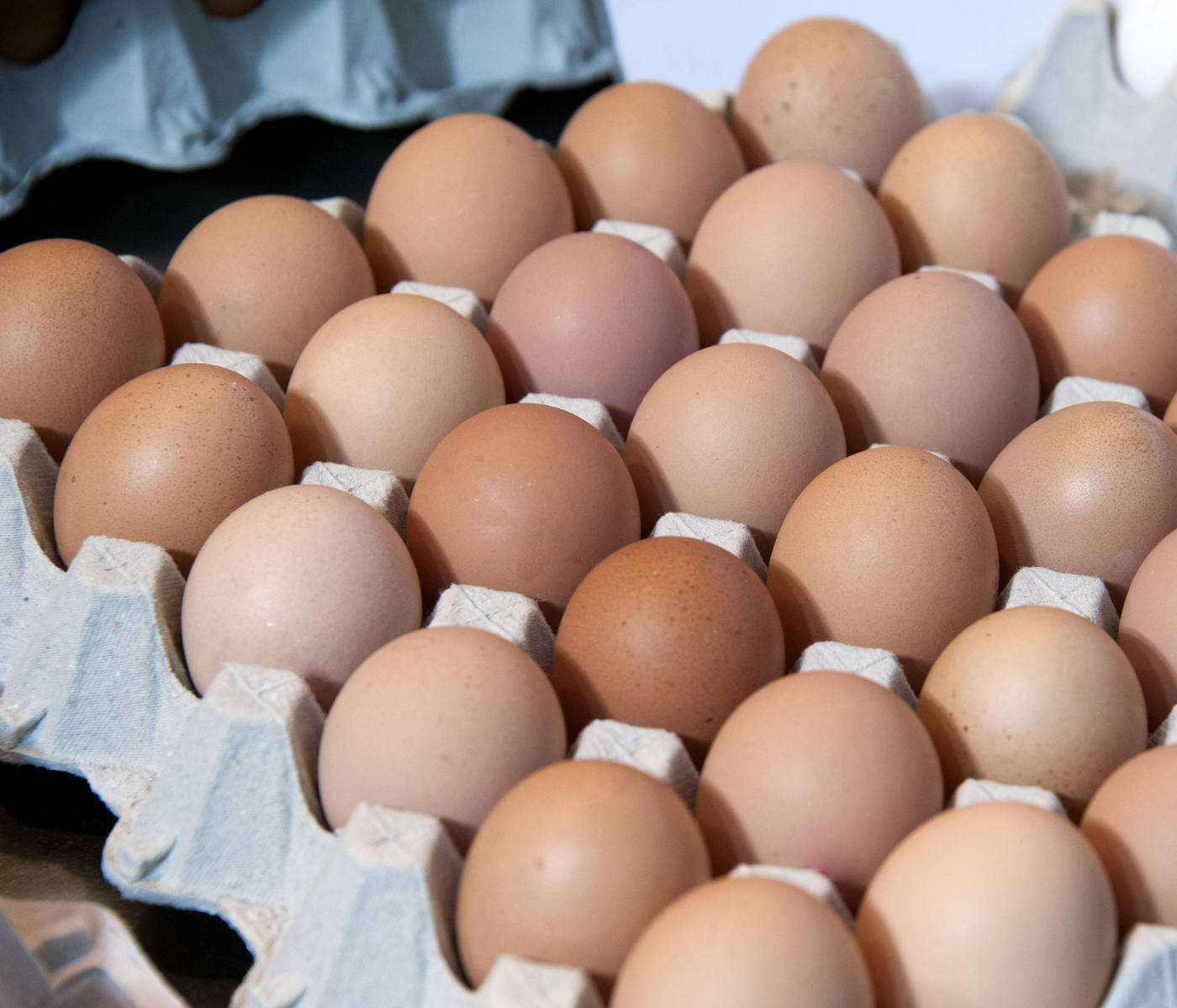 Dominican Republic: Egg prices are cheaper than in other countries