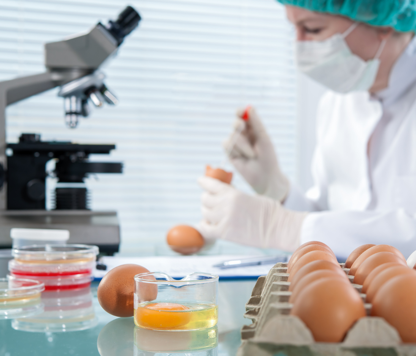 The FDA released a guide for egg producers to prevent Salmonella