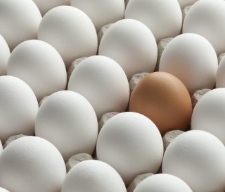 ¿Cuáles son las últimas cifras de la producción de huevos en Chile?