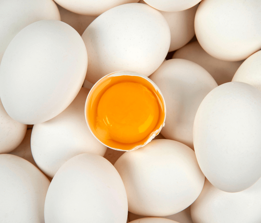 Receita de exportações de ovos cresce 61,7%