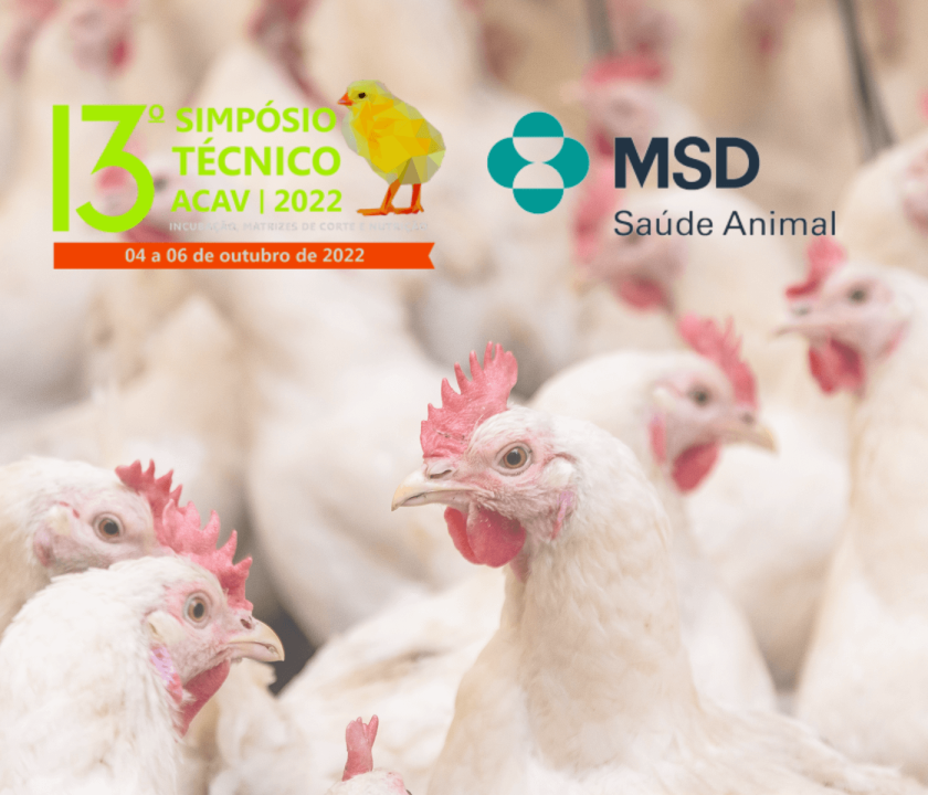 Palestrantes internacionais e executivos da MSD Saúde Animal discutem perspectivas do setor avícola no Pré-Simpósio ACAV