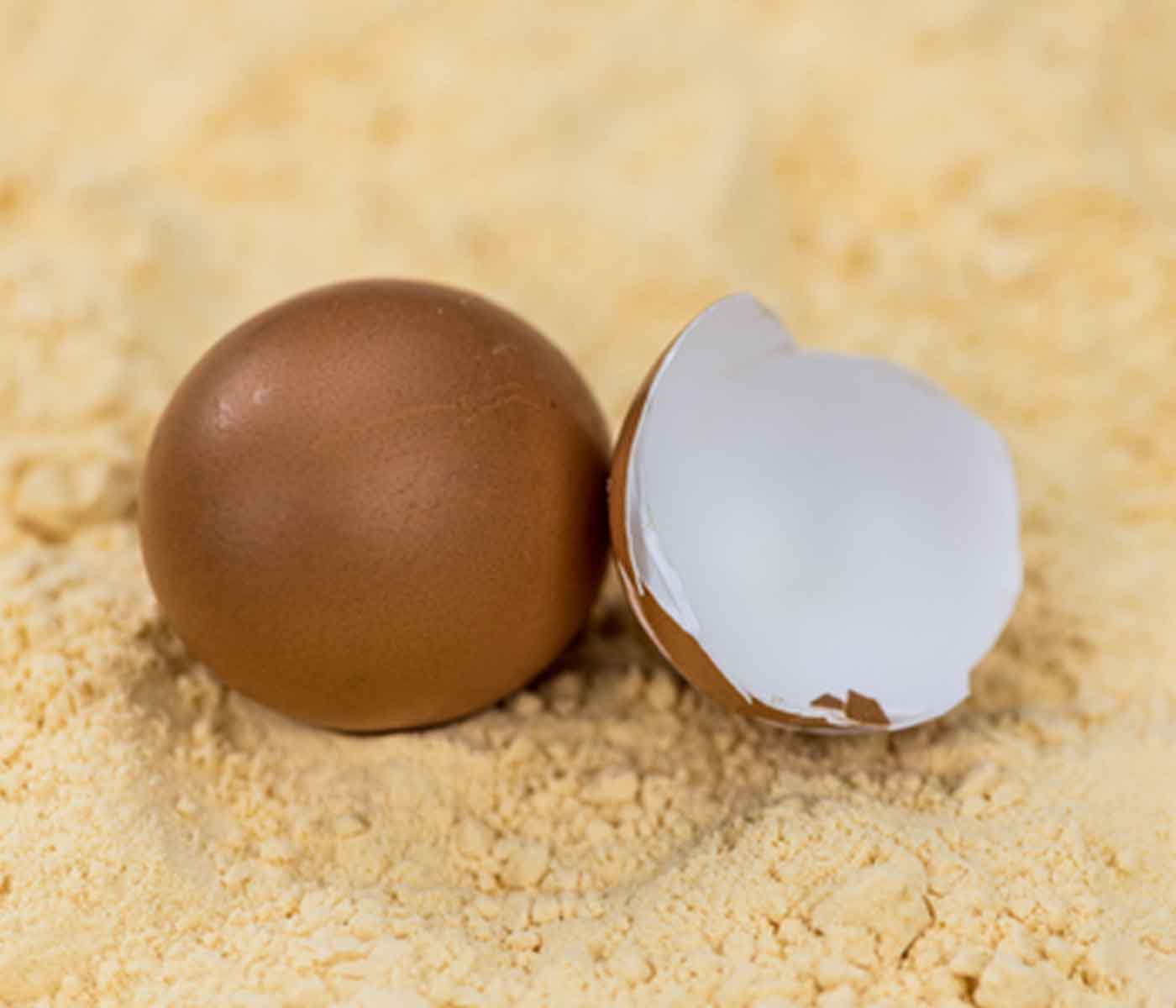 Spray-dried eggs are an alternative to battle malnutrition