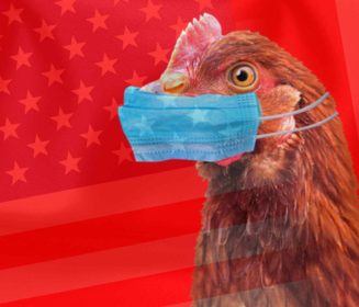 Iamgen Revista لا نهاية لإنفلونزا الطيور في الولايات المتحدة
