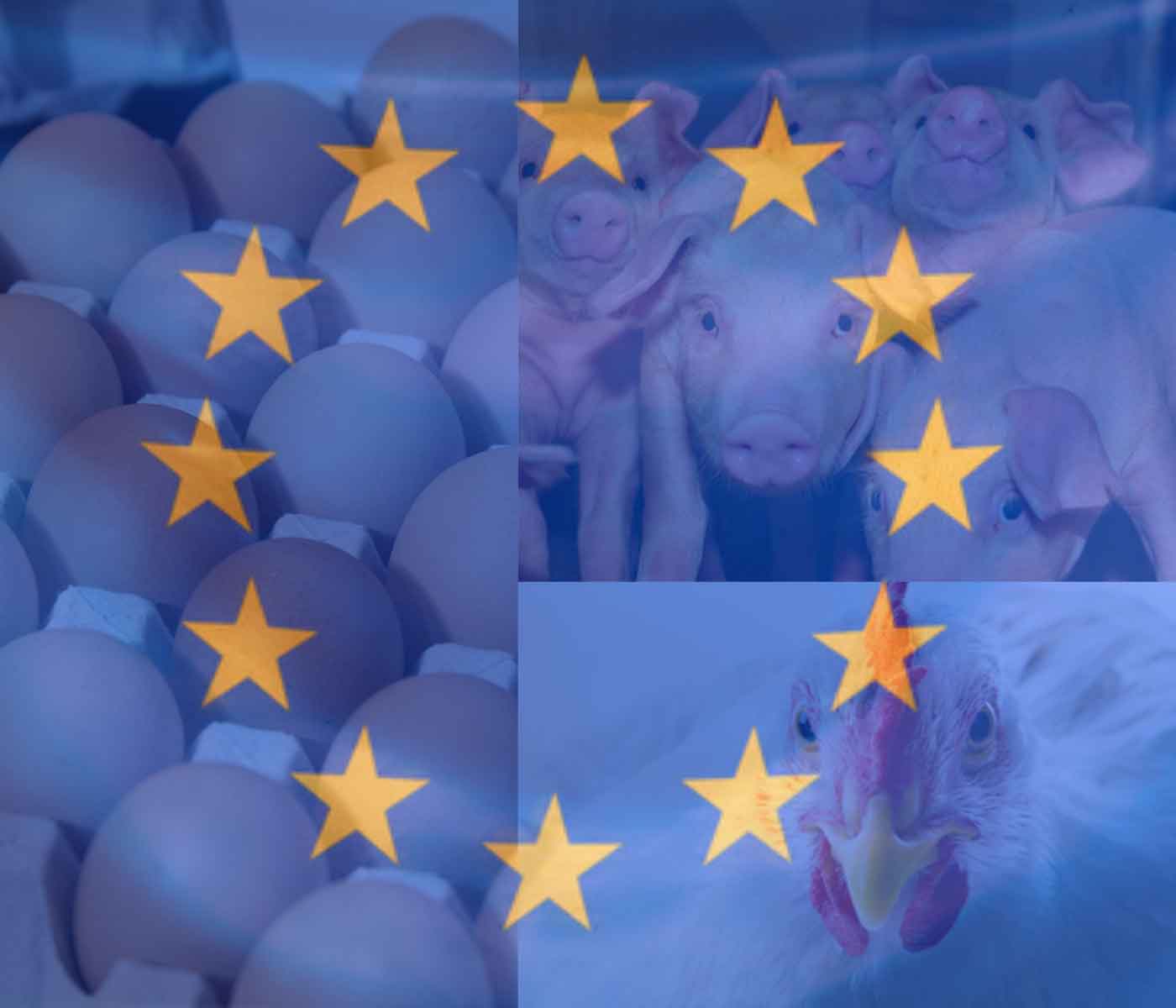 European poultry and pork to be traded in the Republic of Korea