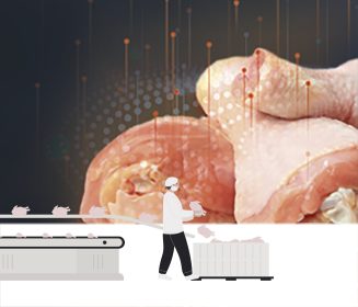 Iamgen Revista Applied artificial intelligence to increase the consumption of chicken