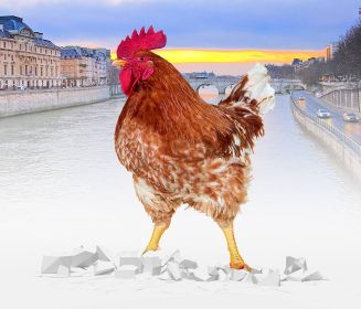 Iamgen Revista World’s Poultry Congress 2022