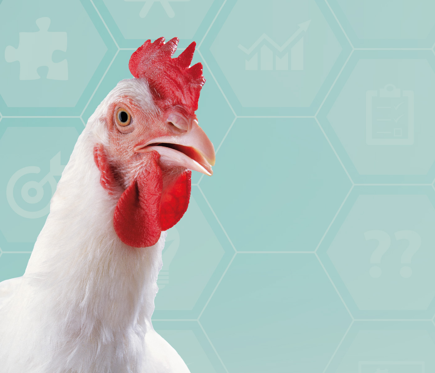 Uso de antimicrobianos em avicultura: tendências e desafios
