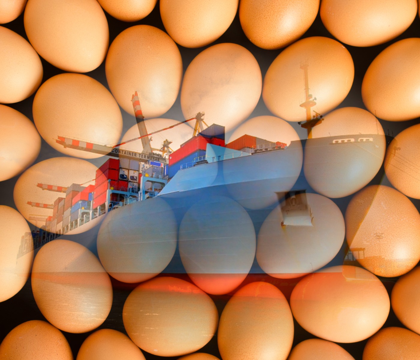 Brasil: Ingresos acumulados por exportaciones de huevos crecen 54,4% en 2022
