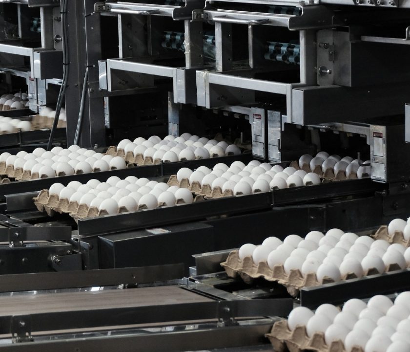 Chile producción huevo sostenible