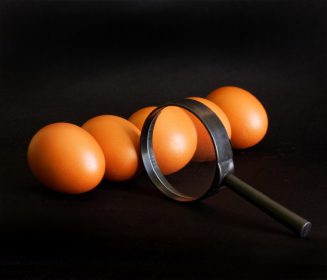 Eggshell color and storage time on egg quality traits