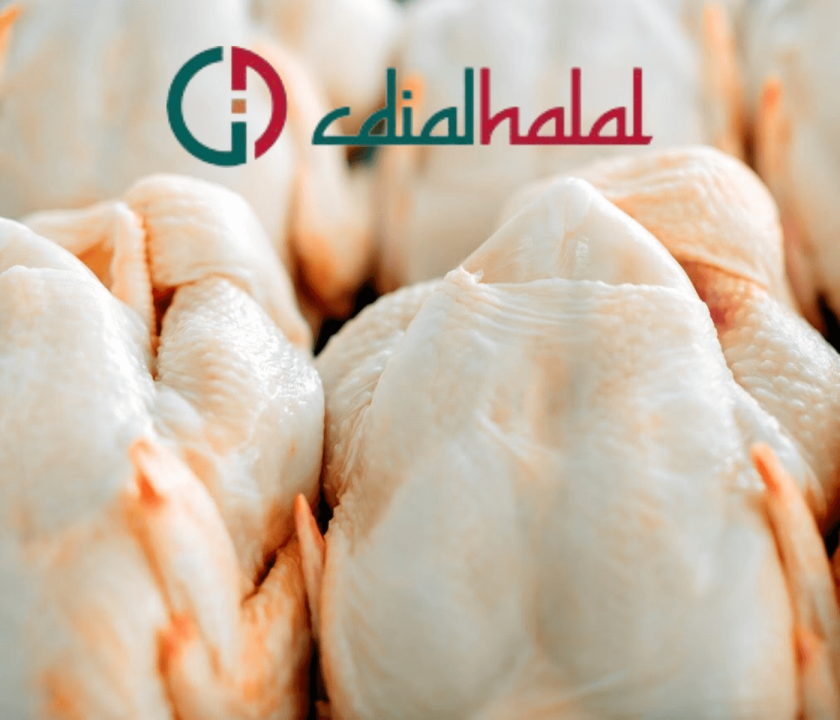 Exportações de frango halal do Brasil acumulam resultados positivos