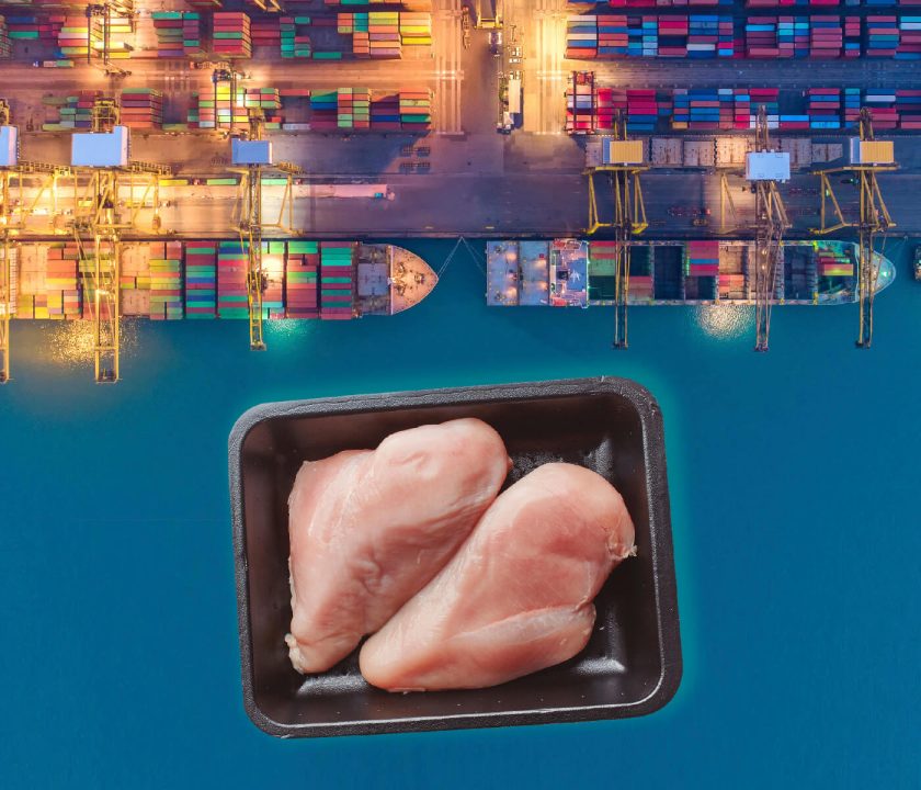 exportações brasileiras de carne de aves