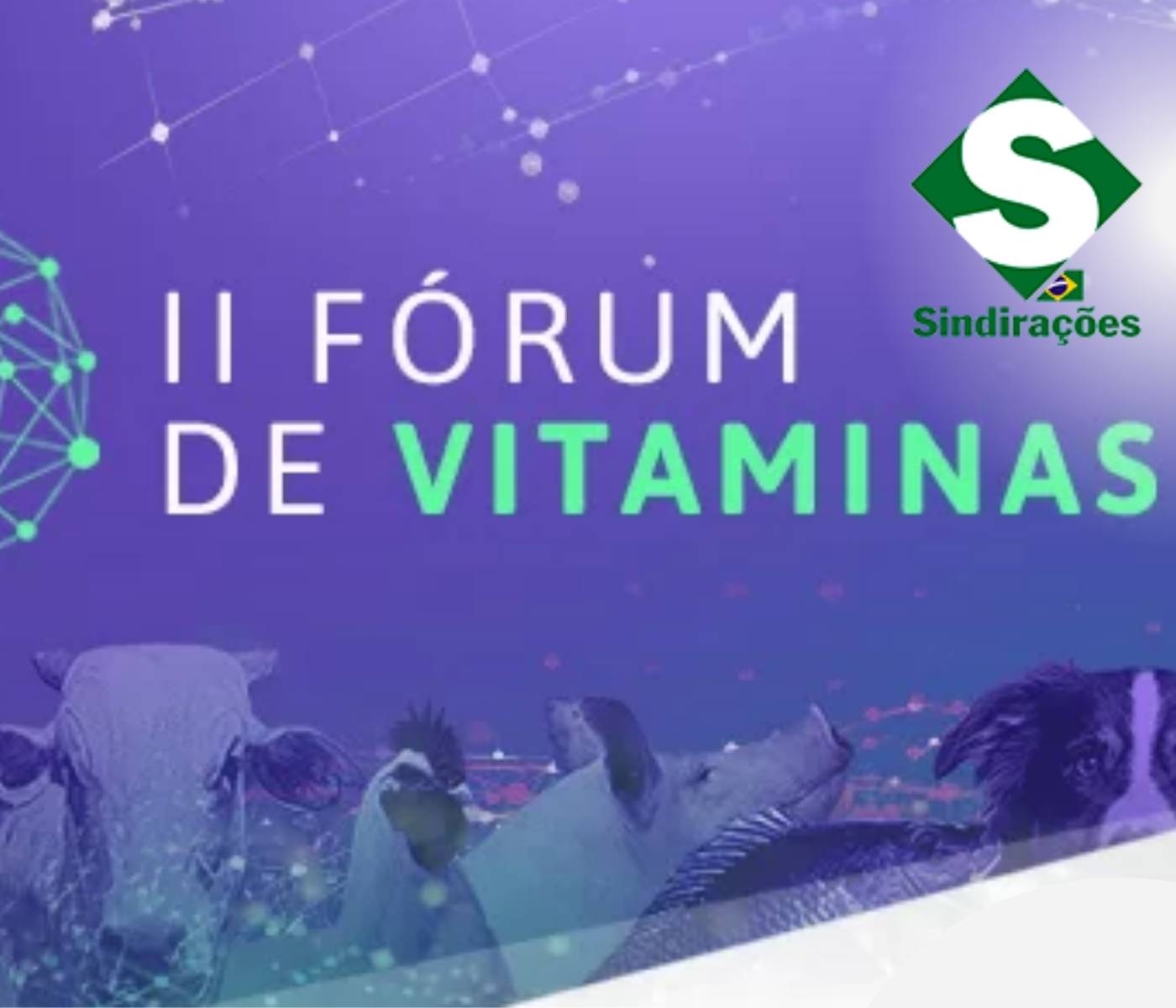 Sindirações realiza o II Fórum de Vitaminas