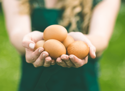 importância do ovo para a sociedade