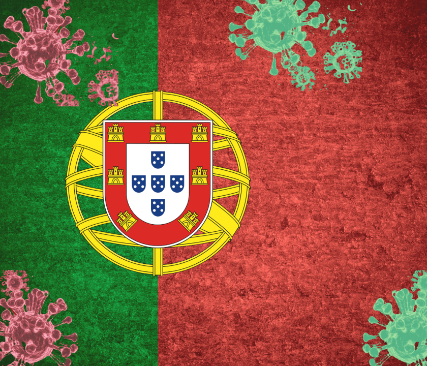 Novo foco de influenza aviária é detectado em Lisboa