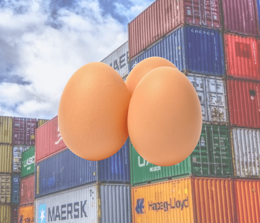 Receita de exportações de ovos cresce 12,3% em setembro