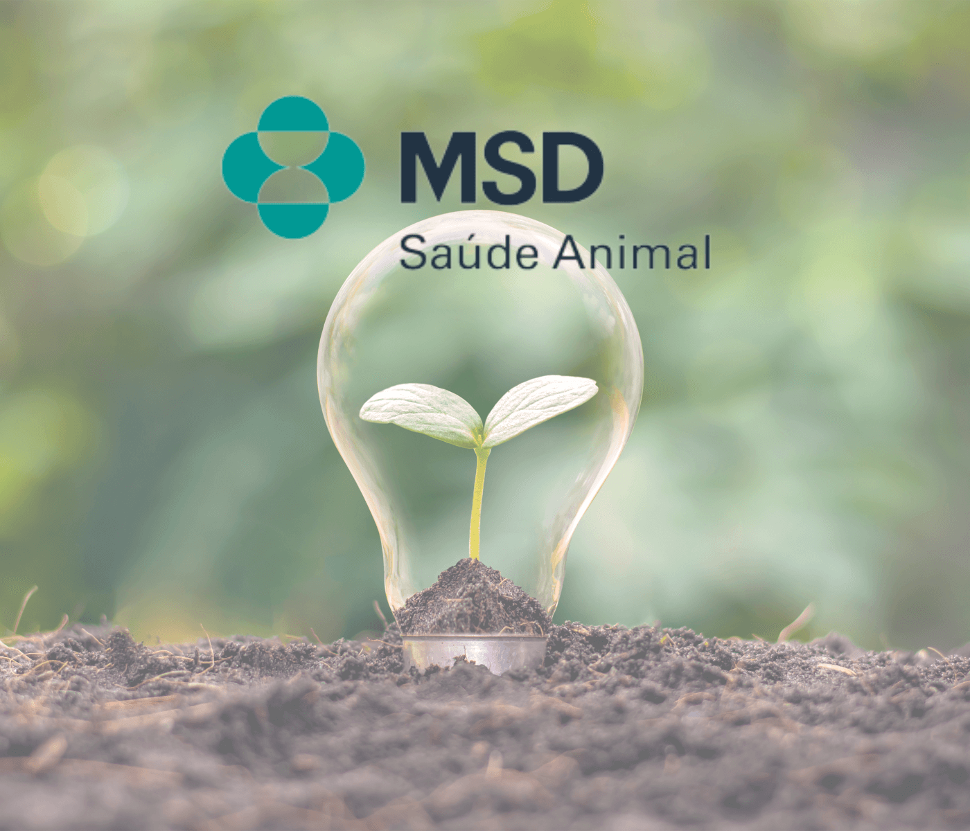 Consciência sustentável é foco da MSD Saúde Animal