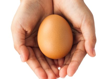 producir y consumir huevo de manera segura