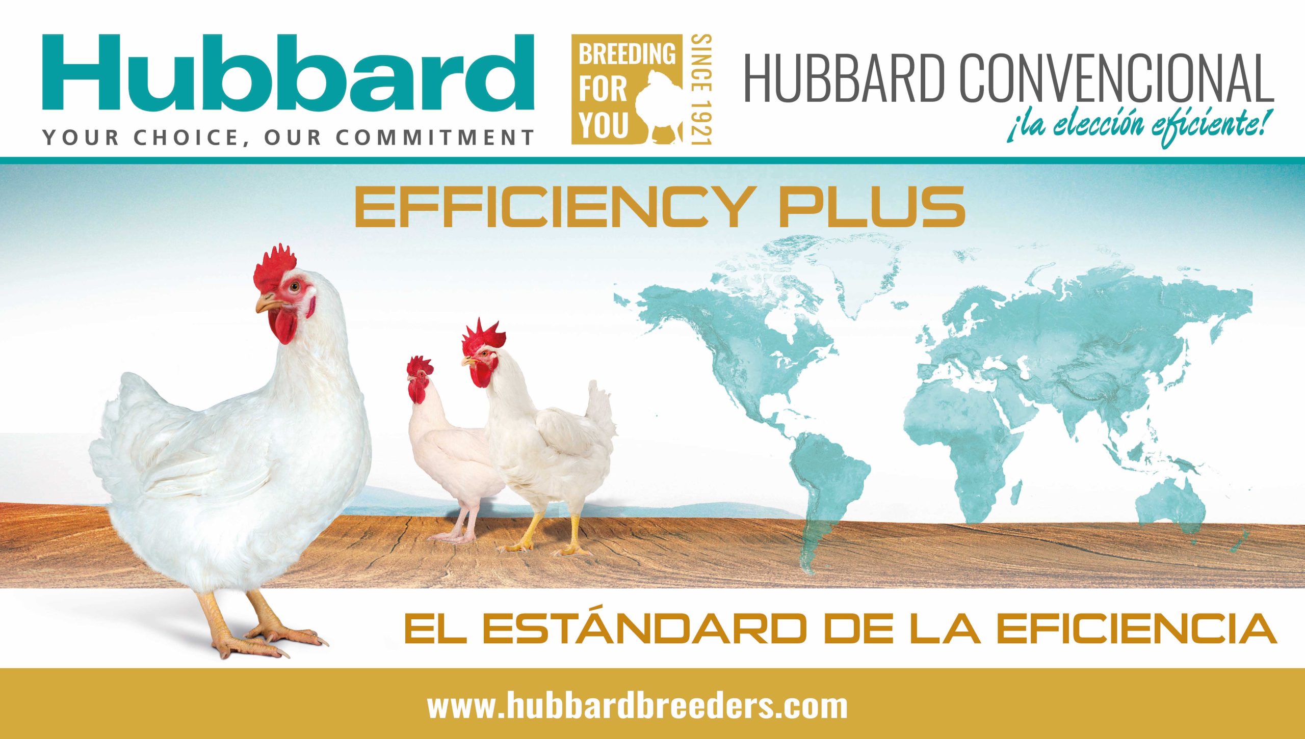 Hubbard® Efficiency Plus