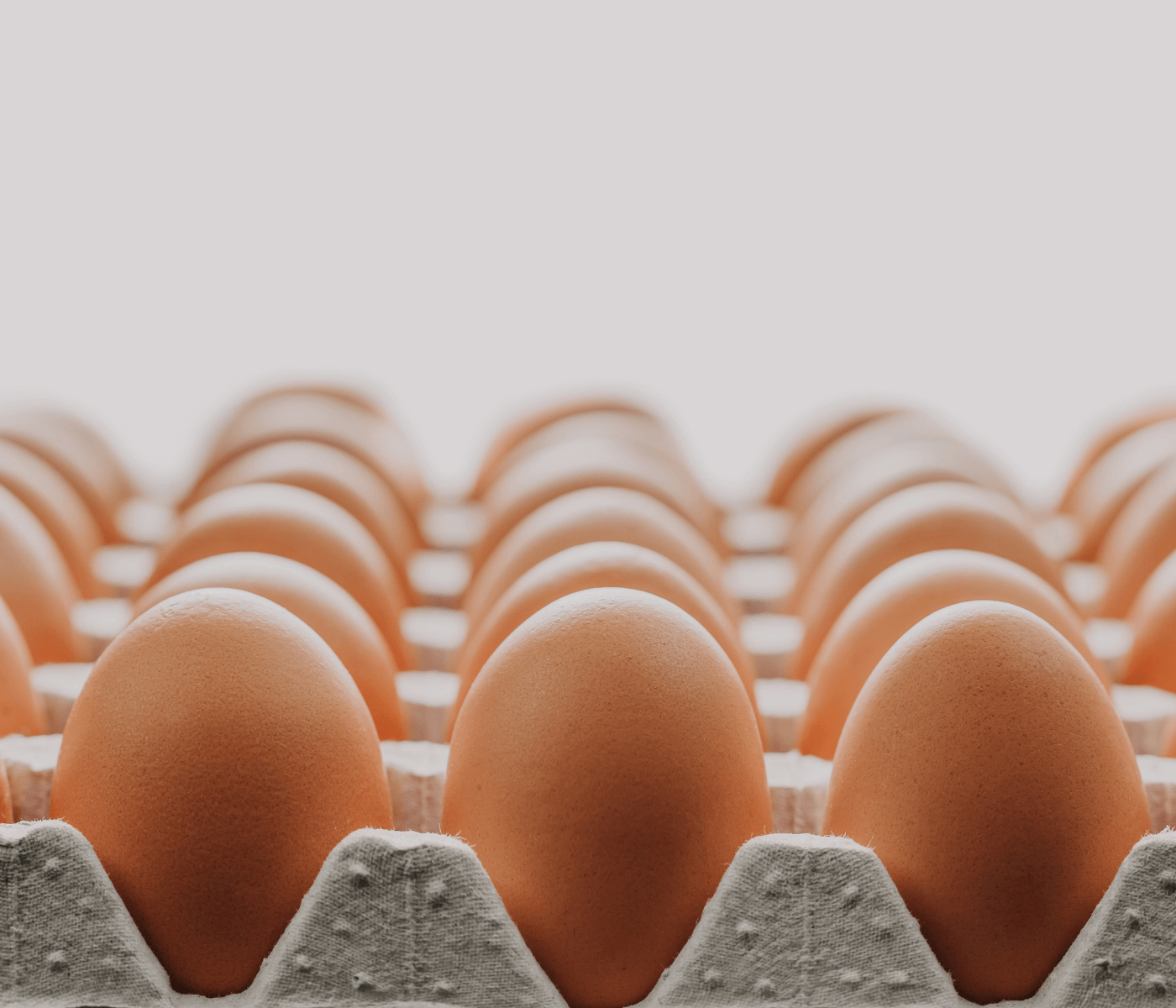 Receita de exportações de ovos cresce 26,6% em outubro