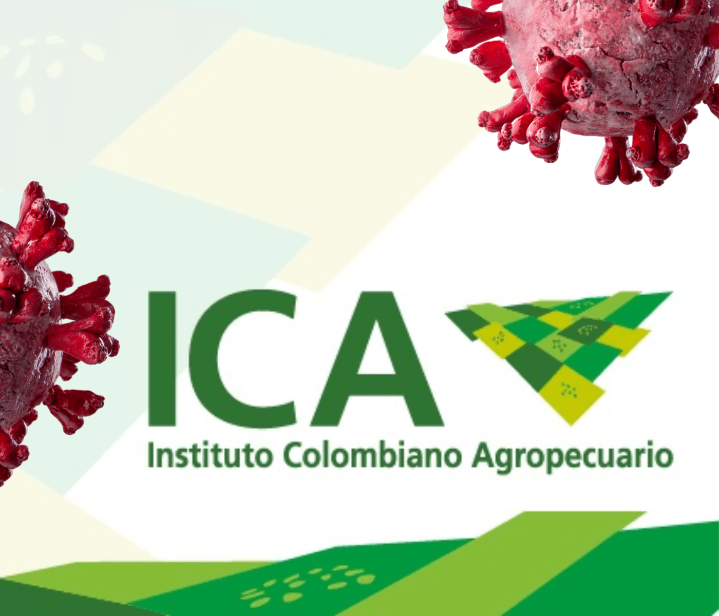 ICA confirma presença de influenza aviária na zona rural de Cartagena