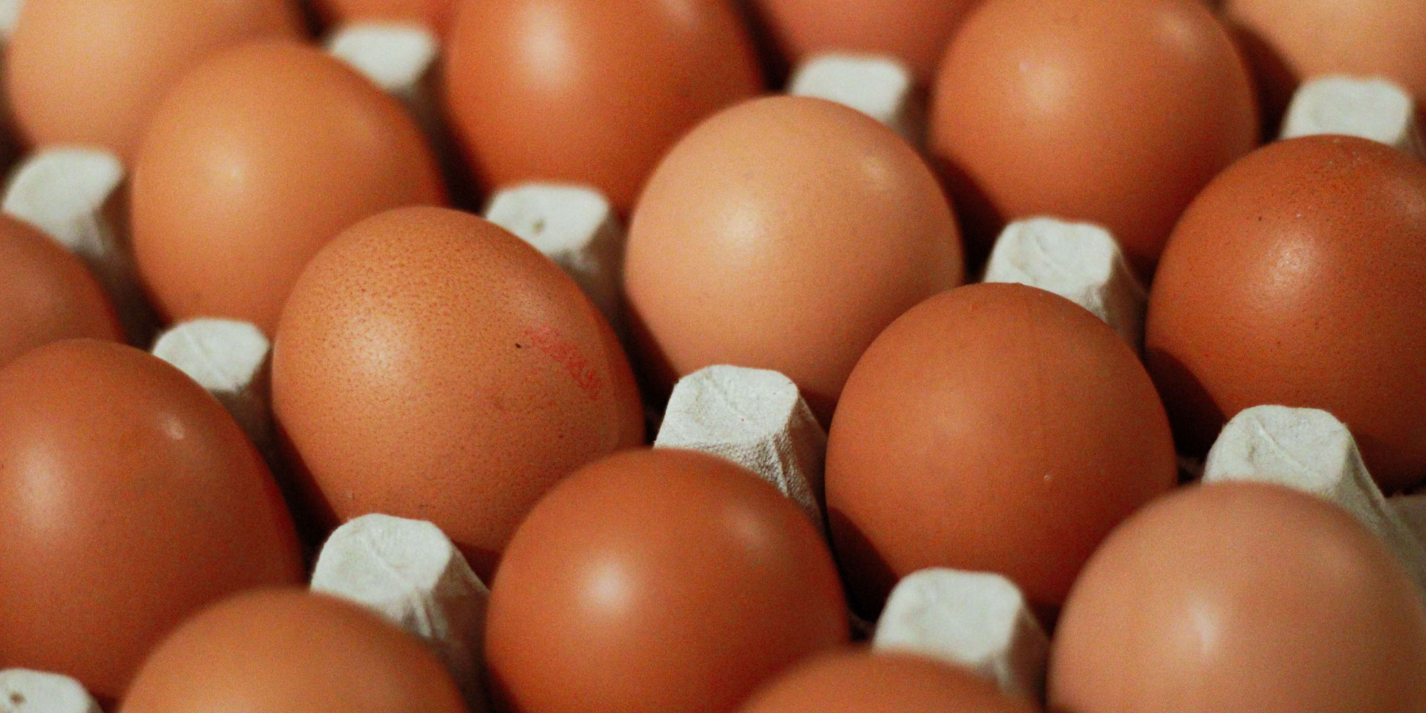 Banco de Alimentos de Zaragoza recibe una donación de huevos