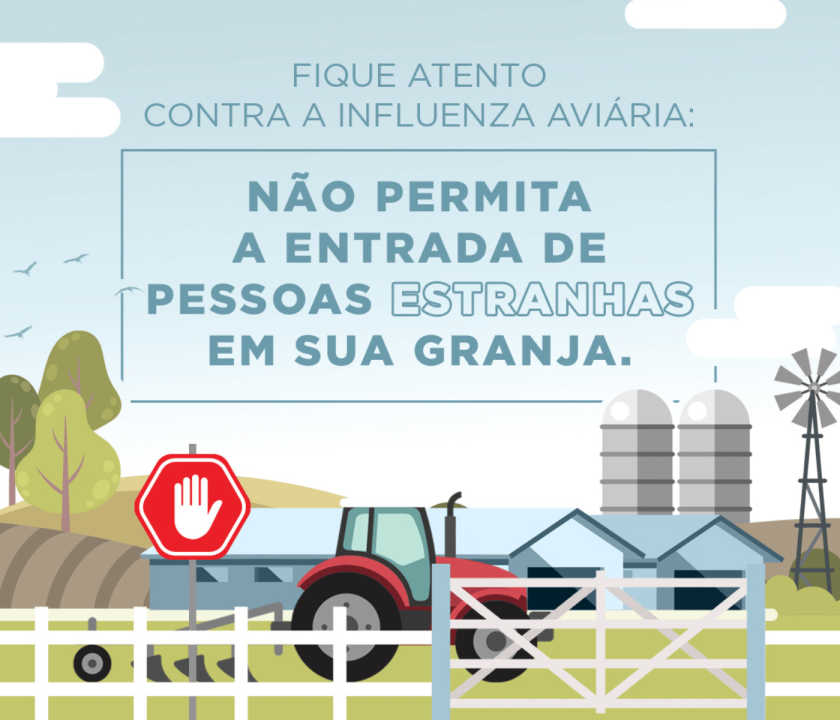 campanha da ABPA contra a influenza aviária