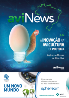 aviNews Brasil 4T 2022 