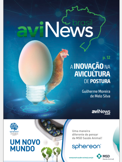 aviNews Brasil 4T 2022