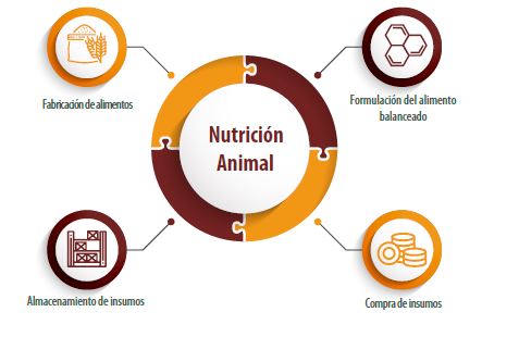 Guía práctica de nutrición para ponedoras comerciales