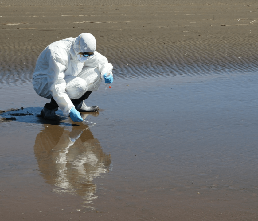 primeiro caso de influenza aviária no Chile