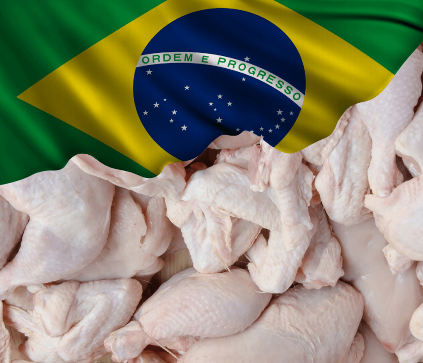exportação de frango bate recorde em 2022