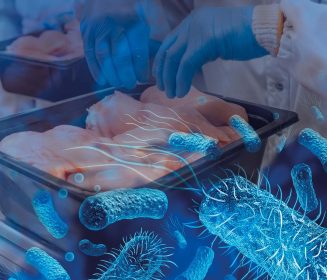 Imagen Revista Avicultura:¿Cómo evitar la contaminación de los alimentos por Salmonella?