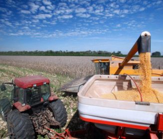 Iamgen Revista قد يتم تقليص المساحة لزرع الذرة في أوكرانيا بحلول عام 2023