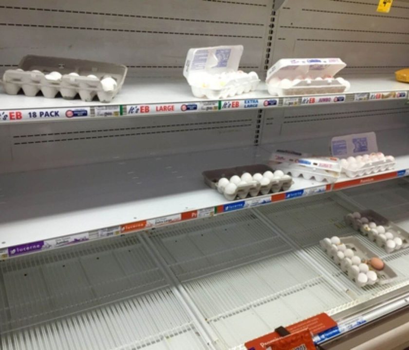 New Zealand egg shortage