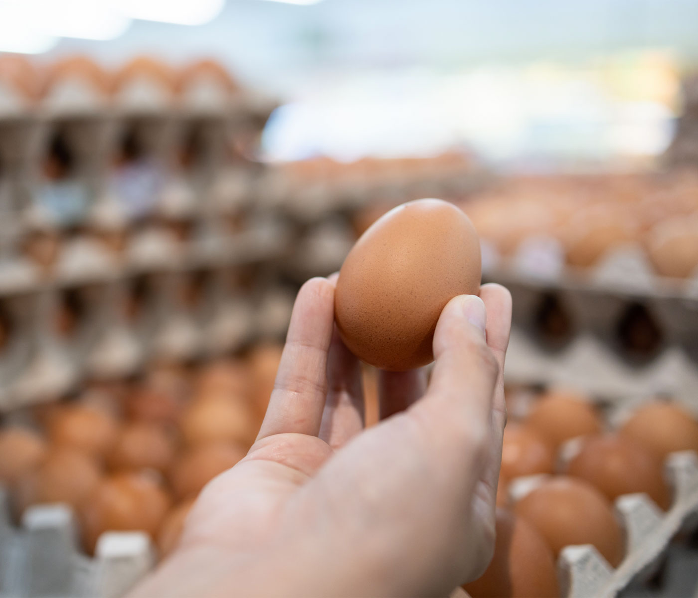 Fin de la obligación de vender los huevos al consumidor...