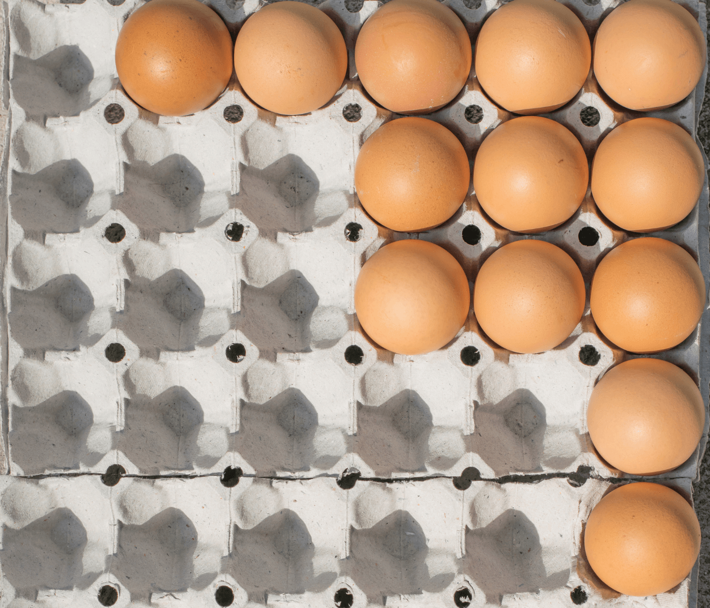 Brasil corre risco de ficar sem ovos?