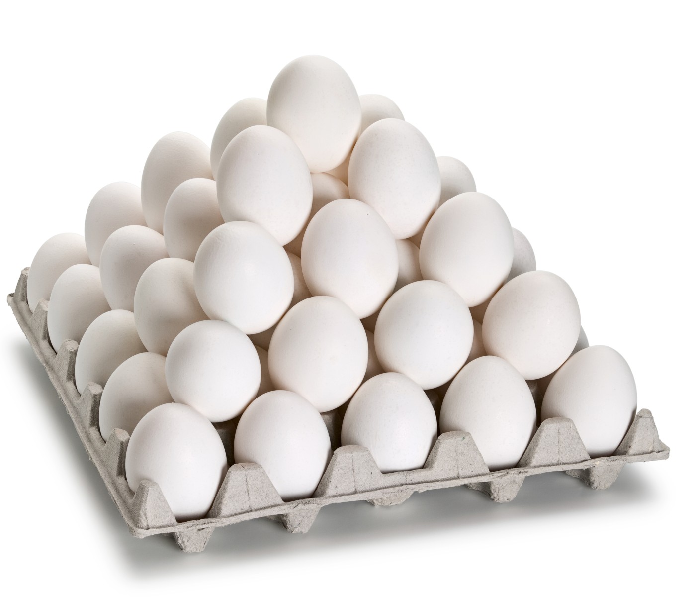 Avicultores mexicanos manifiestan su posición ante contrabando de huevos a EE.UU.
