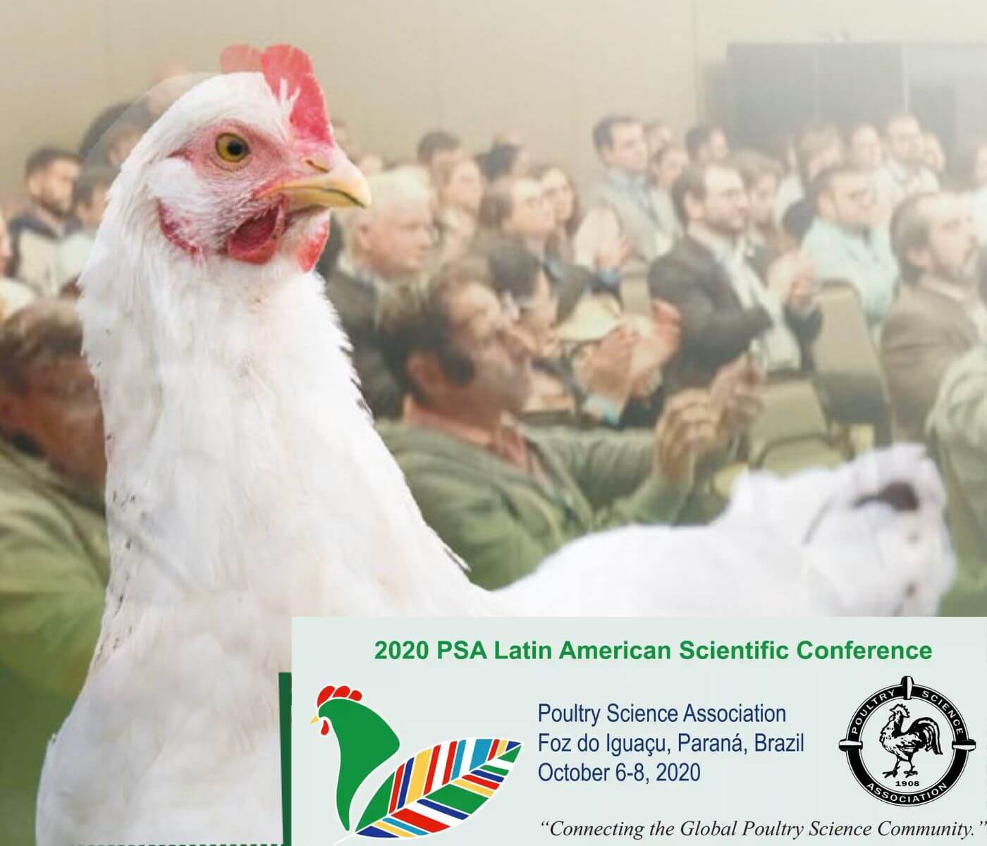 Synopsis of the 3rd Latin American PSA conference