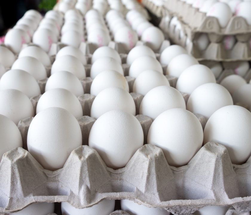 En República dominicana se prohíbe exportación de huevos