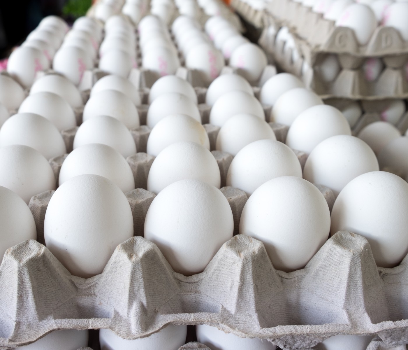Gobierno Dominicano ha suspendido la exportación de huevos